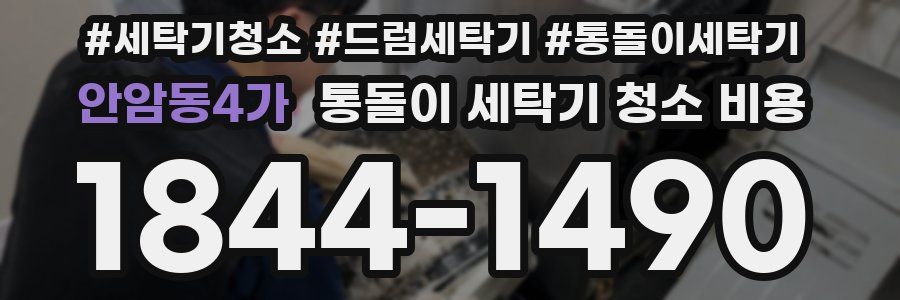 안암동4가 통돌이 세탁기 청소 비용