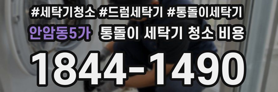 안암동5가 통돌이 세탁기 청소 비용