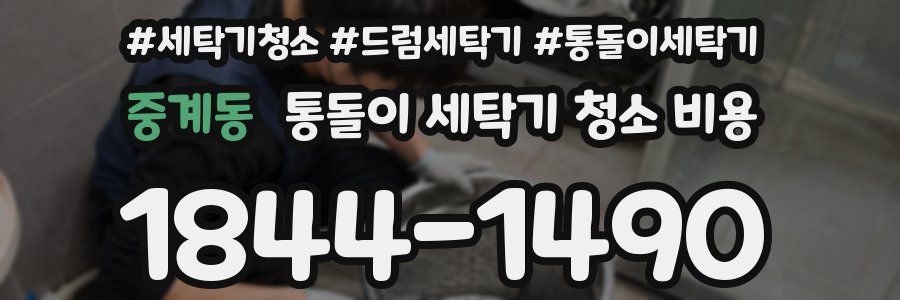 중계동 통돌이 세탁기 청소 비용