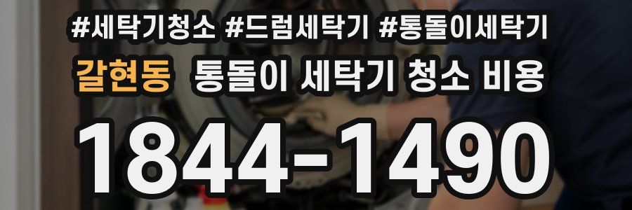 갈현동 통돌이 세탁기 청소 비용