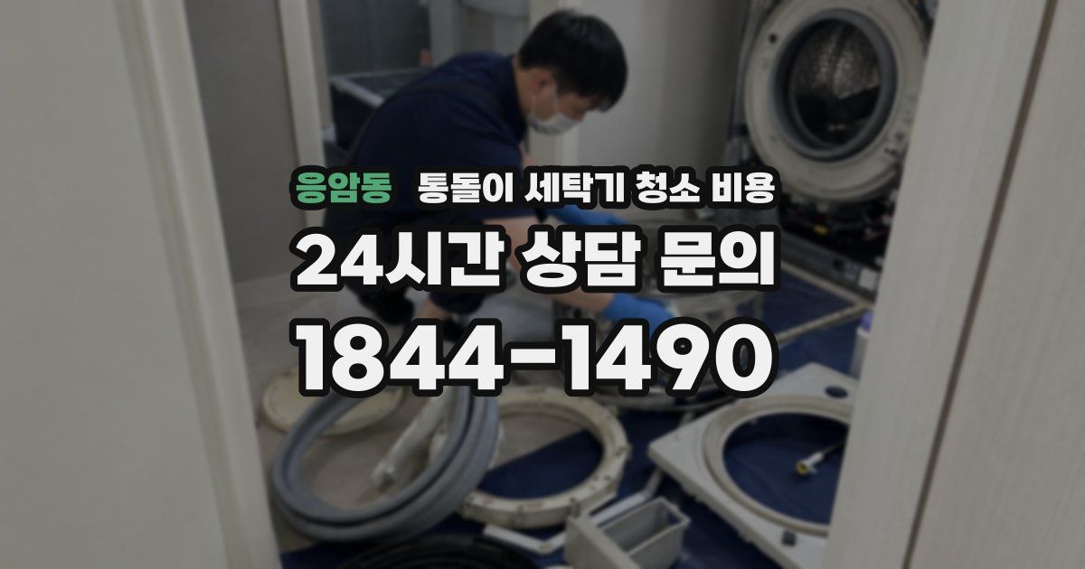 응암동 통돌이 세탁기 청소 비용