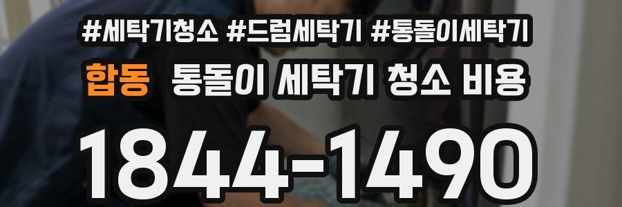 합동 통돌이 세탁기 청소 비용