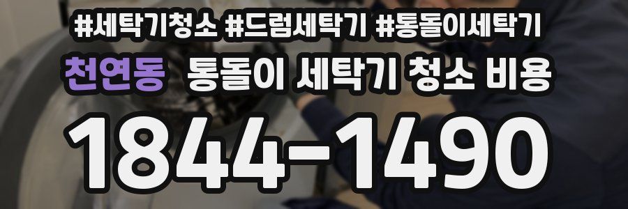 천연동 통돌이 세탁기 청소 비용