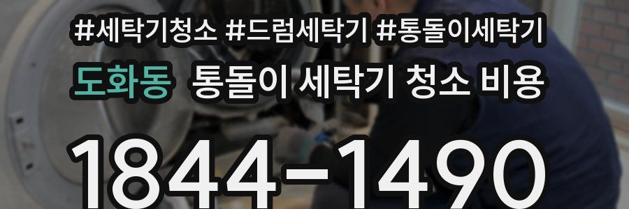 도화동 통돌이 세탁기 청소 비용