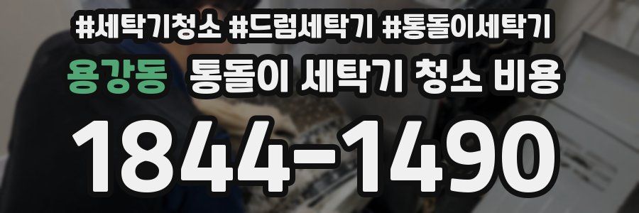 용강동 통돌이 세탁기 청소 비용