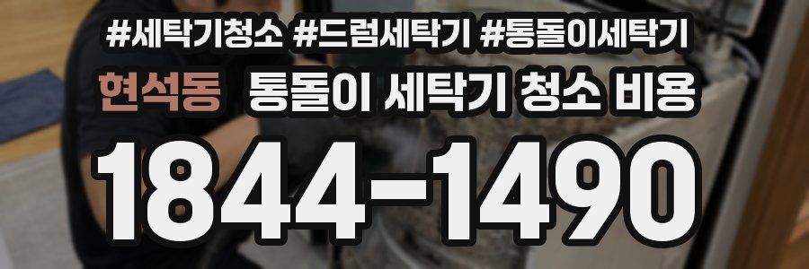 현석동 통돌이 세탁기 청소 비용