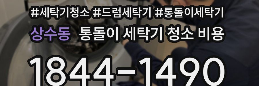 상수동 통돌이 세탁기 청소 비용