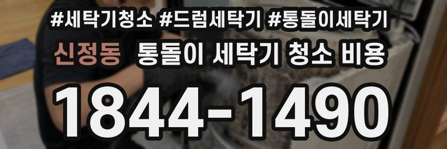 신정동 통돌이 세탁기 청소 비용