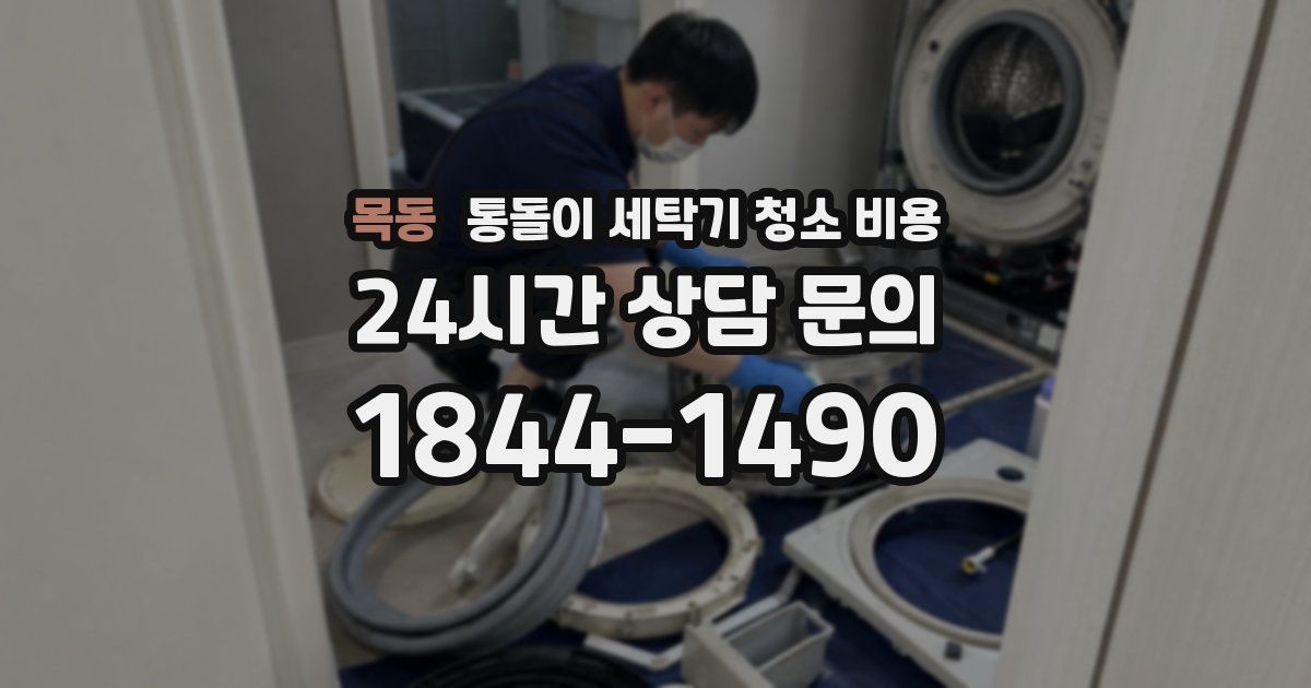 목동 통돌이 세탁기 청소 비용