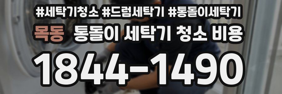 목동 통돌이 세탁기 청소 비용