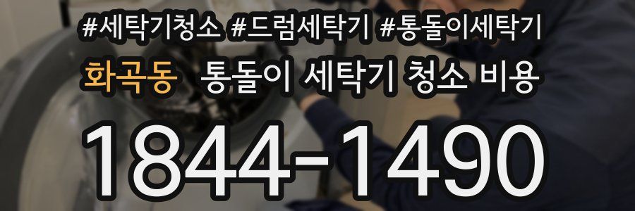 화곡동 통돌이 세탁기 청소 비용