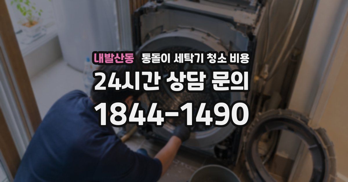 내발산동 통돌이 세탁기 청소 비용