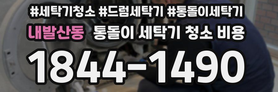내발산동 통돌이 세탁기 청소 비용