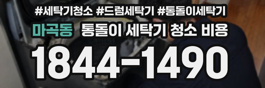 마곡동 통돌이 세탁기 청소 비용