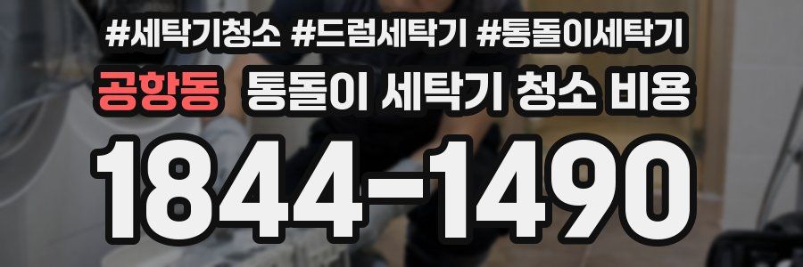공항동 통돌이 세탁기 청소 비용