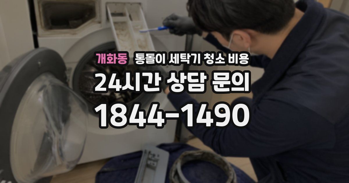 개화동 통돌이 세탁기 청소 비용