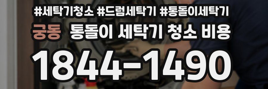 궁동 통돌이 세탁기 청소 비용