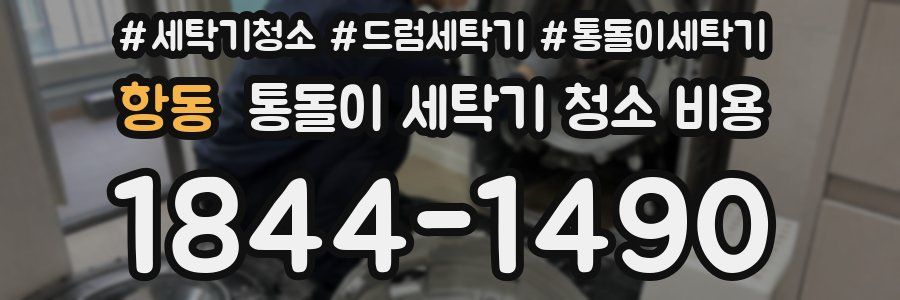항동 통돌이 세탁기 청소 비용