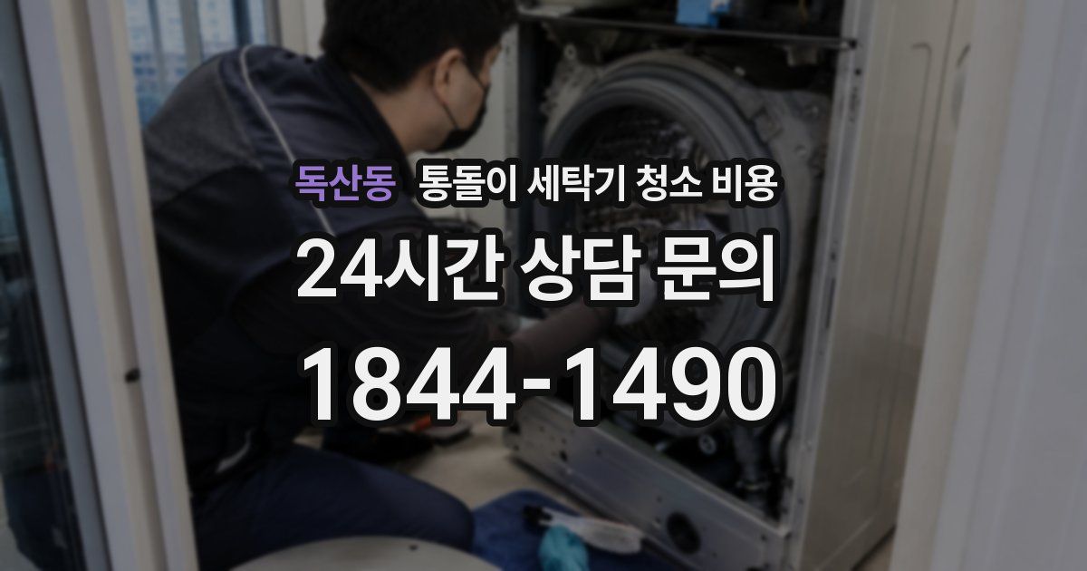 독산동 통돌이 세탁기 청소 비용