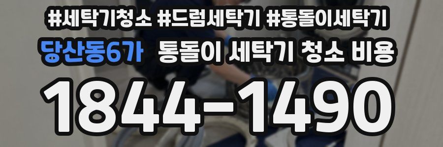 당산동6가 통돌이 세탁기 청소 비용