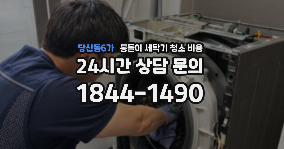 당산동6가 통돌이 세탁기 청소 비용