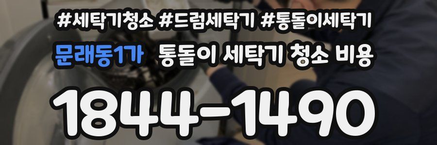 문래동1가 통돌이 세탁기 청소 비용