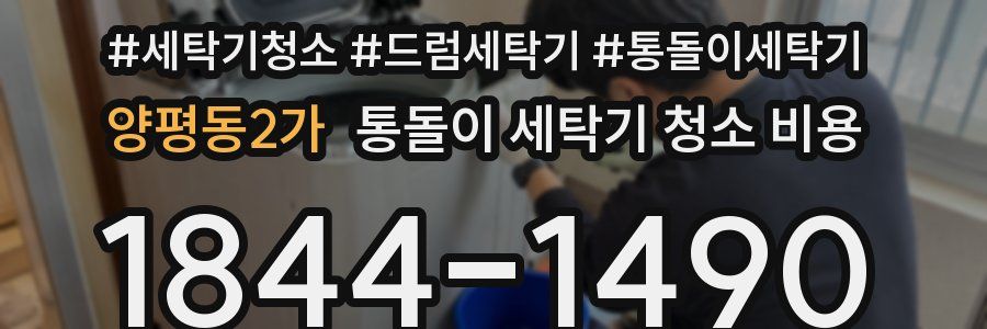 양평동2가 통돌이 세탁기 청소 비용