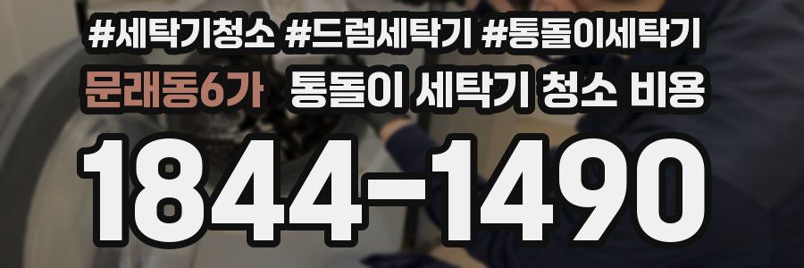 문래동6가 통돌이 세탁기 청소 비용