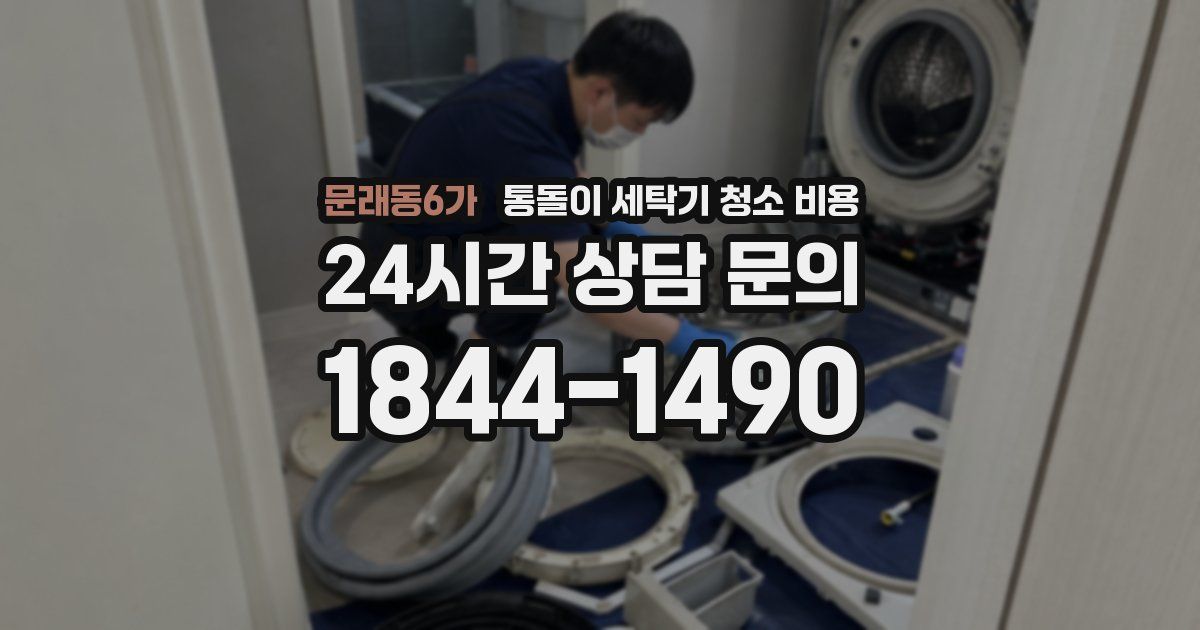 문래동6가 통돌이 세탁기 청소 비용
