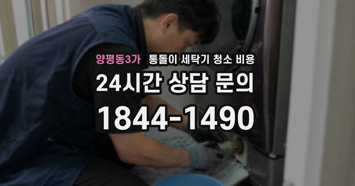 양평동3가 통돌이 세탁기 청소 비용