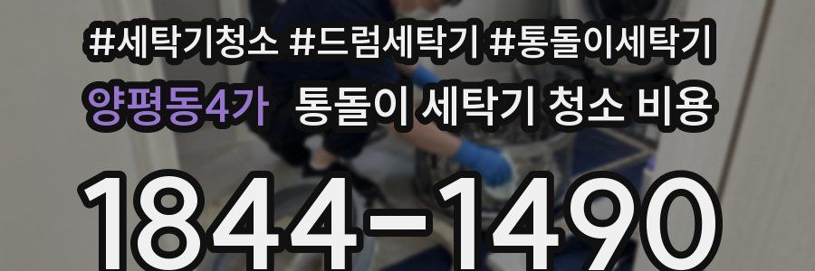 양평동4가 통돌이 세탁기 청소 비용