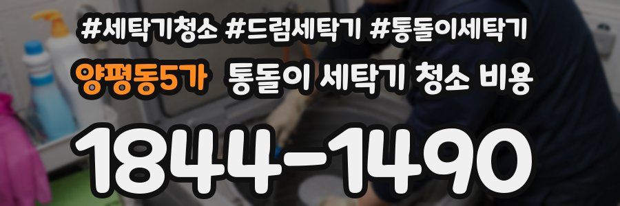 양평동5가 통돌이 세탁기 청소 비용