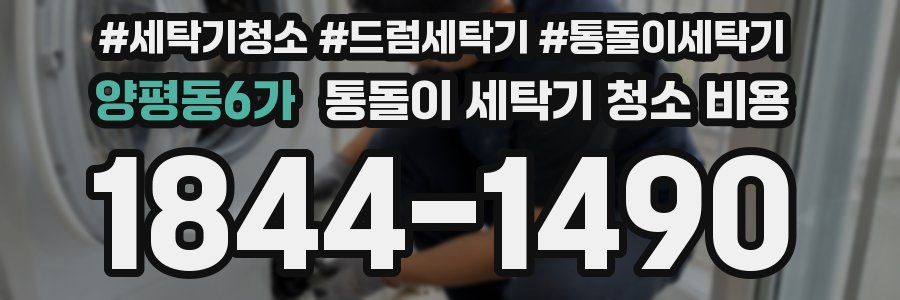 양평동6가 통돌이 세탁기 청소 비용