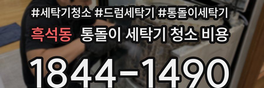 흑석동 통돌이 세탁기 청소 비용