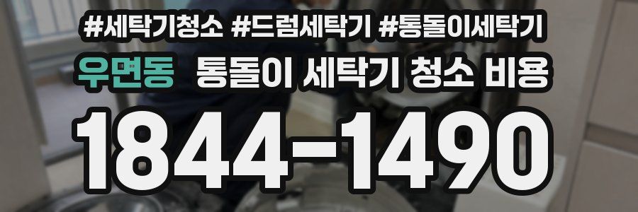 우면동 통돌이 세탁기 청소 비용