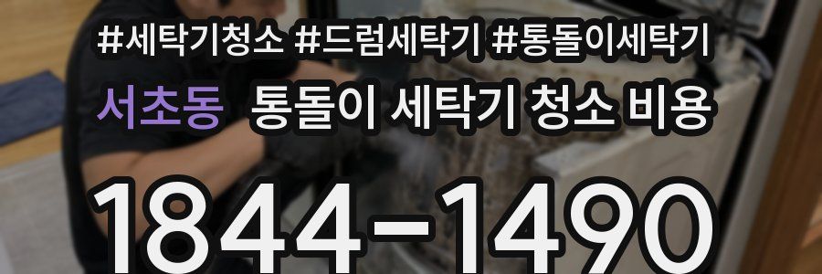 서초동 통돌이 세탁기 청소 비용