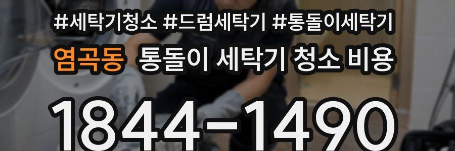 염곡동 통돌이 세탁기 청소 비용