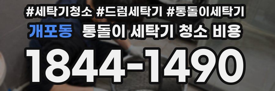 개포동 통돌이 세탁기 청소 비용