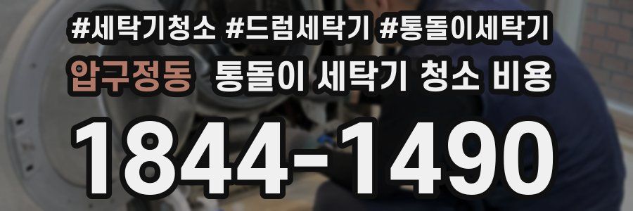 압구정동 통돌이 세탁기 청소 비용