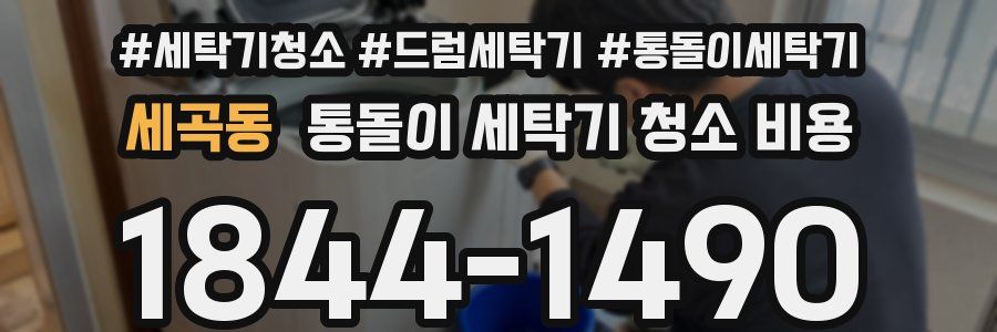 세곡동 통돌이 세탁기 청소 비용