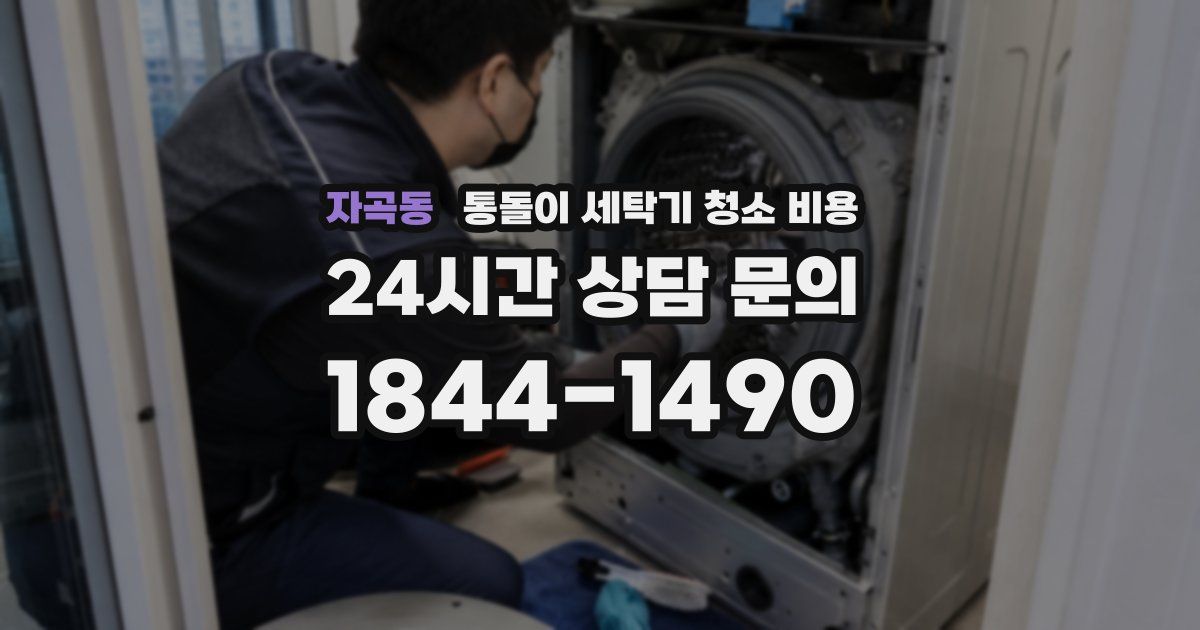 자곡동 통돌이 세탁기 청소 비용