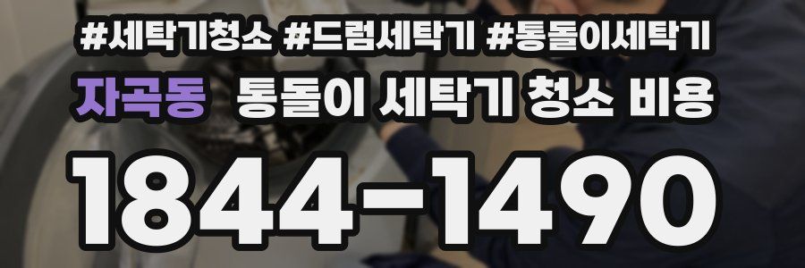 자곡동 통돌이 세탁기 청소 비용