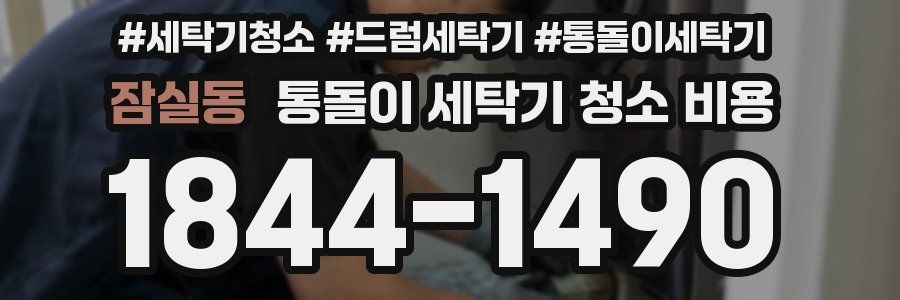 잠실동 통돌이 세탁기 청소 비용