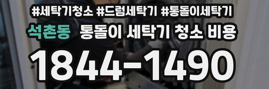 석촌동 통돌이 세탁기 청소 비용