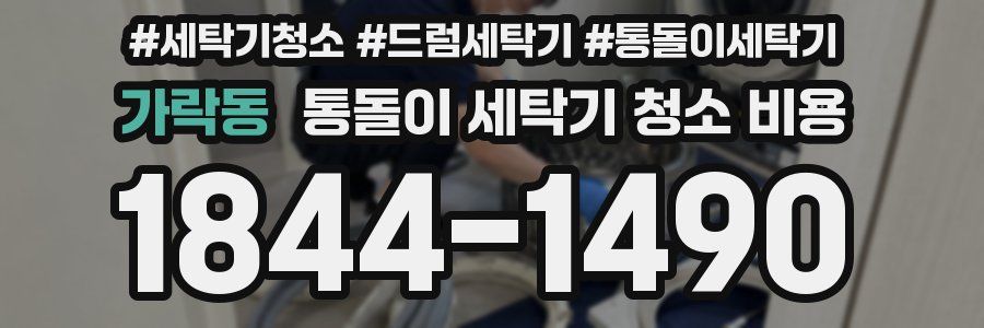 가락동 통돌이 세탁기 청소 비용