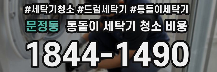 문정동 통돌이 세탁기 청소 비용