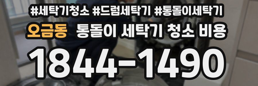 오금동 통돌이 세탁기 청소 비용