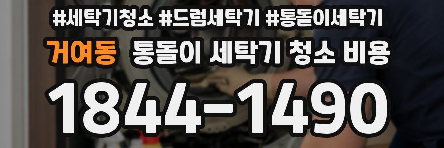 거여동 통돌이 세탁기 청소 비용