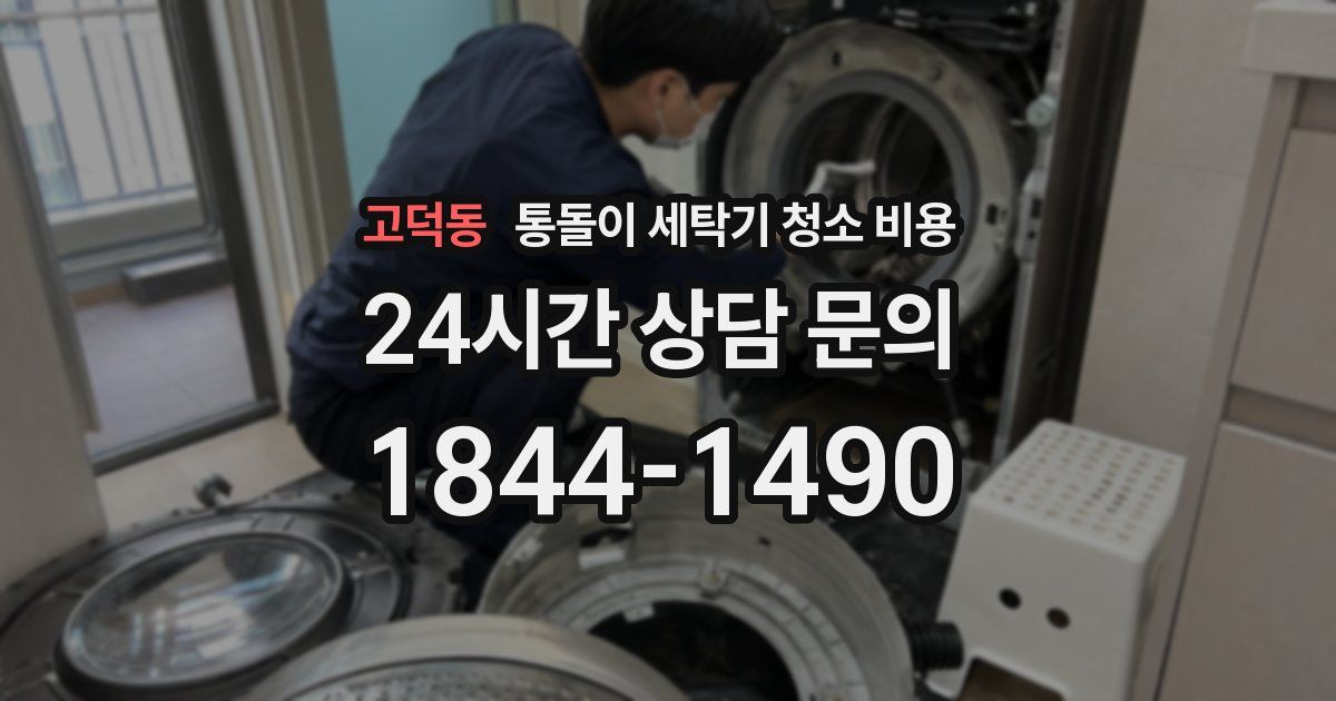 고덕동 통돌이 세탁기 청소 비용
