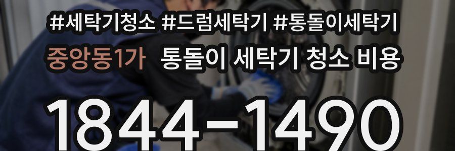 중앙동1가 통돌이 세탁기 청소 비용